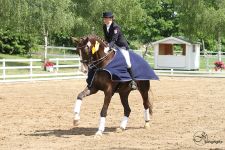Unsere Sieger 2014