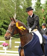 Unsere Sieger 2014