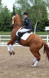 Turnierimpressionen 2011