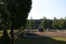 Impressionen 2014