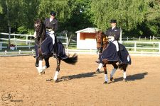 Unsere Sieger 2014