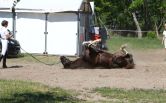 Turnierimpressionen 2011