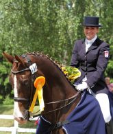 Unsere Sieger 2014